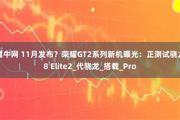 翼牛网 11月发布？荣耀GT2系列新机曝光：正测试骁龙8 Elite2_代骁龙_搭载_Pro