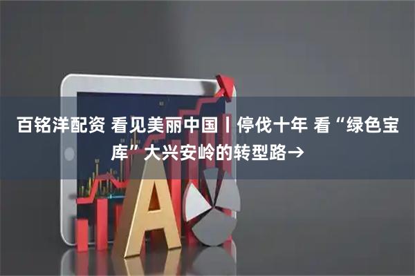 百铭洋配资 看见美丽中国丨停伐十年 看“绿色宝库”大兴安岭的转型路→