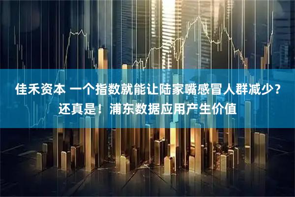 佳禾资本 一个指数就能让陆家嘴感冒人群减少？还真是！浦东数据应用产生价值