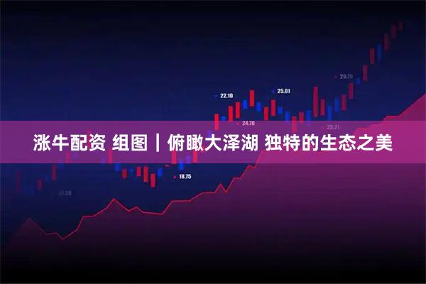 涨牛配资 组图｜俯瞰大泽湖 独特的生态之美