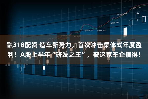 融318配资 造车新势力，首次冲击集体式年度盈利！A股上半年“研发之王”，被这家车企摘得！